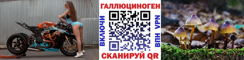 Псилоцибиновые грибы мицелий  маркетплейс как зайти  Ивангород 